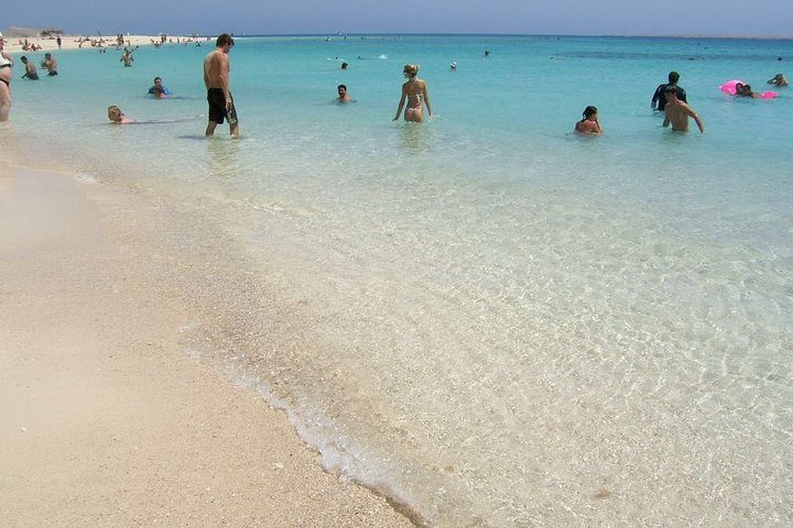 Abu Dabab Bay National Park Swim with Turtles from Hurghada Abu Dabab Bay National Park Swim with Turtles from Hurghada