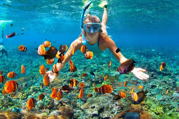 Explore Nha Trang Bay: Snorkeling at Mun Island and Coral Reefs