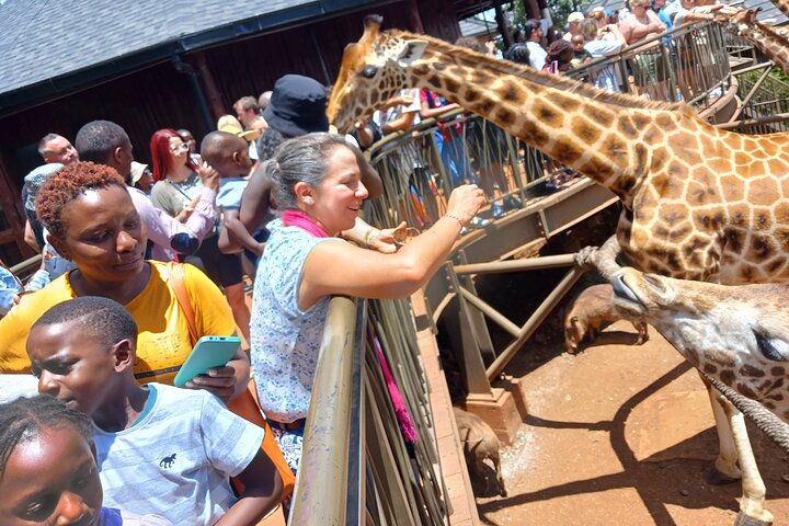 Classic Nairobi City Tour Safari-Free WI FI