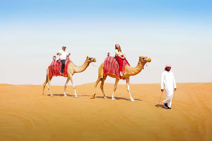 Dubai Desert Adventure Dune Safari Camel Ride BBQ & Stargazing