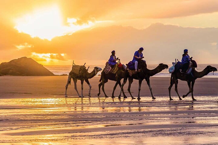 VIP Tangier Private Day Tour from Tarifa - Ferry & Camel Ride VIP Tangier Private Day Tour from Tarifa – Ferry & Camel Ride