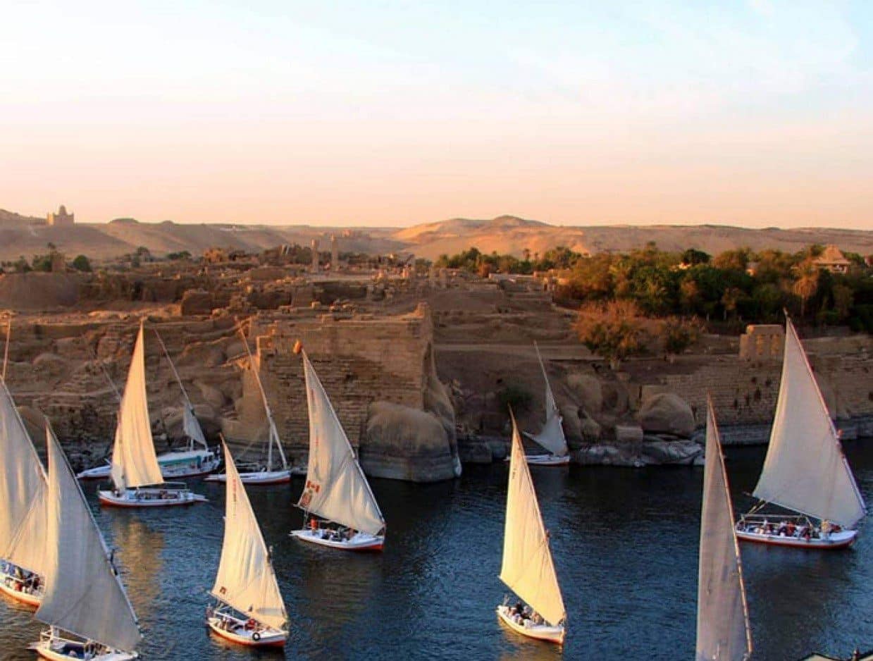 Unveiling the Gems of Aswan Botanical Garden