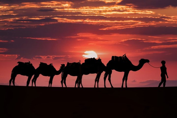 Private Agafay desert, Camel Ride, Dinner & Fire Show