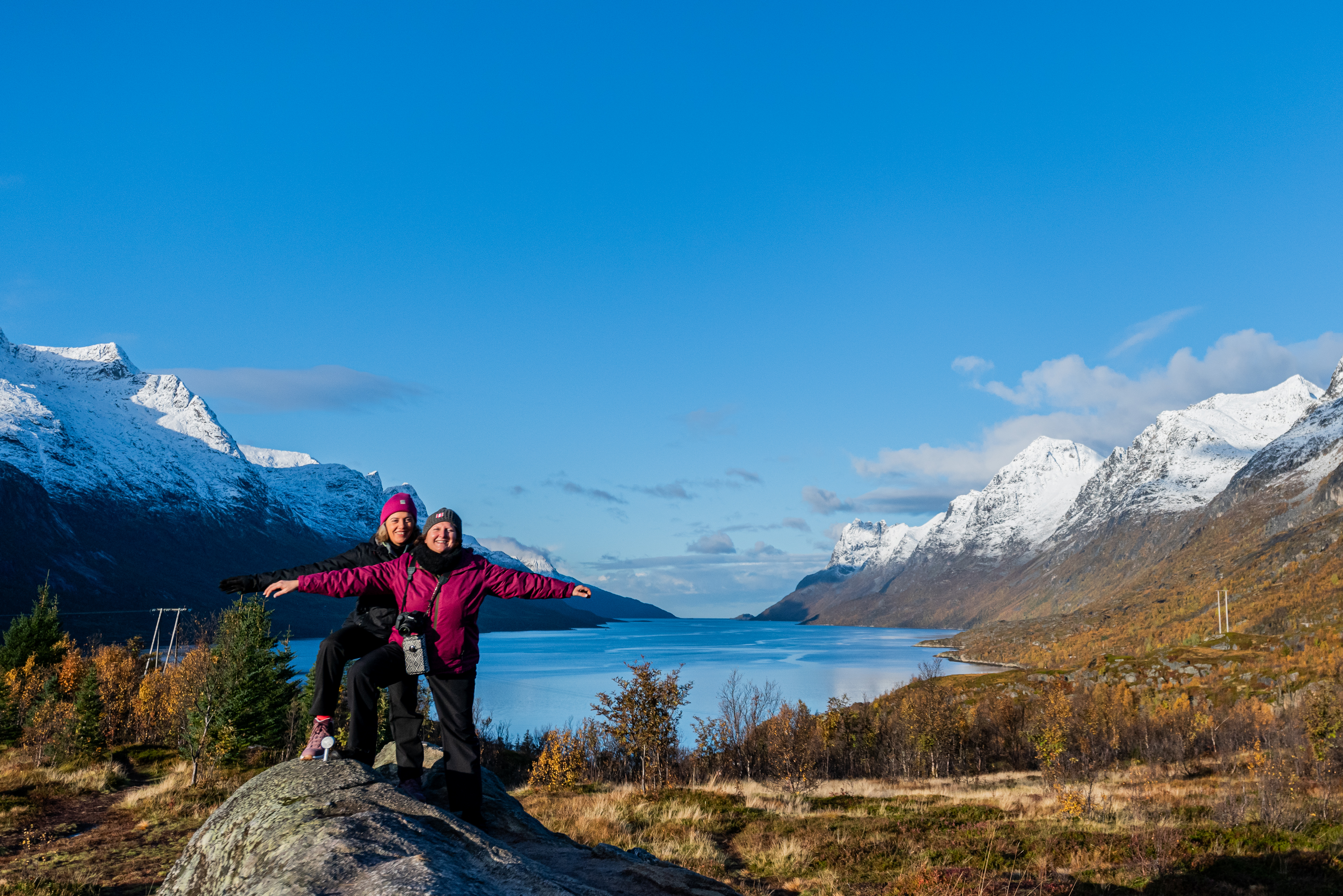 Private Arctic Fjord tour by minivan 8 pax. in Tromsø