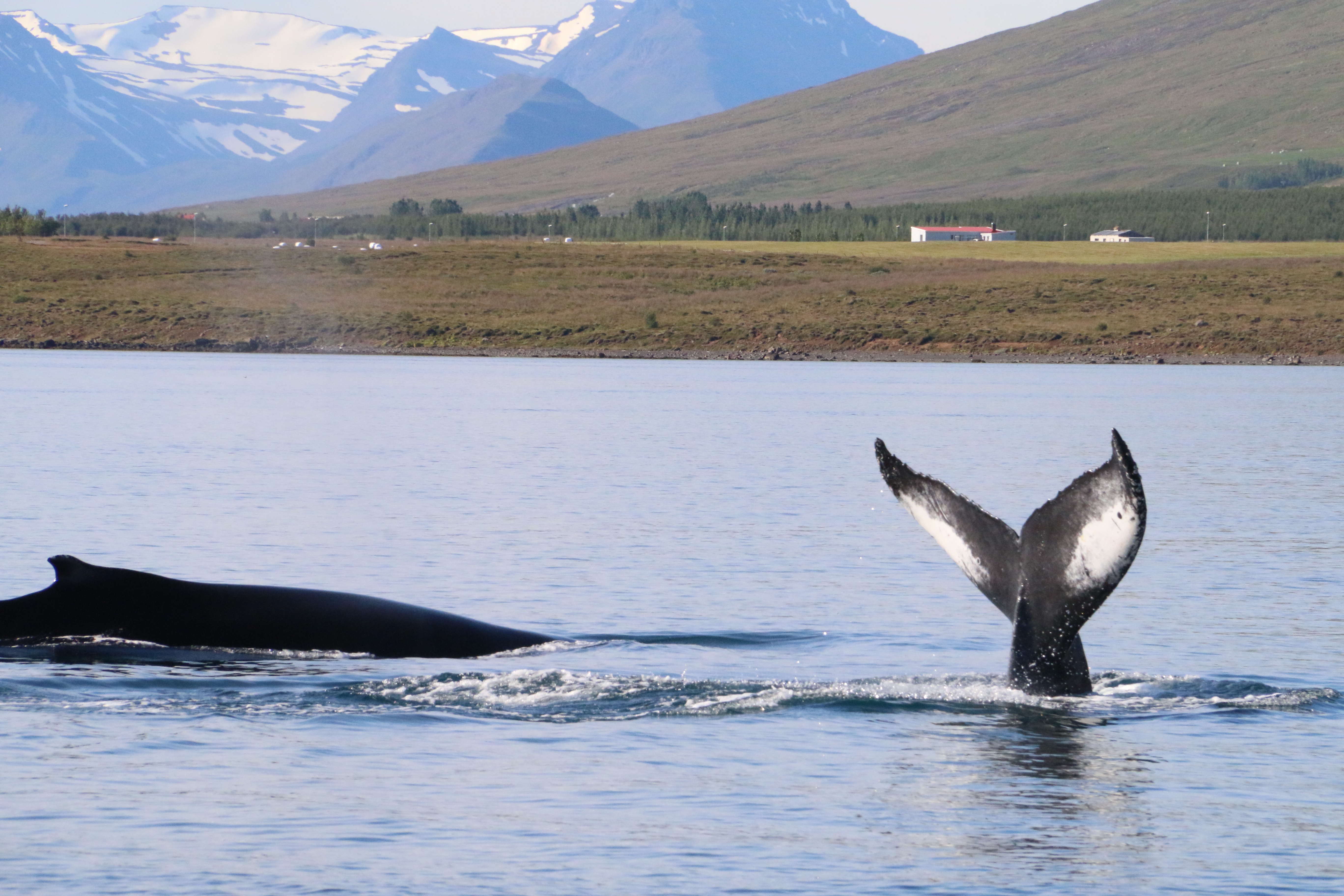 8 Day – Iceland Ring Road Tour – Standard Package