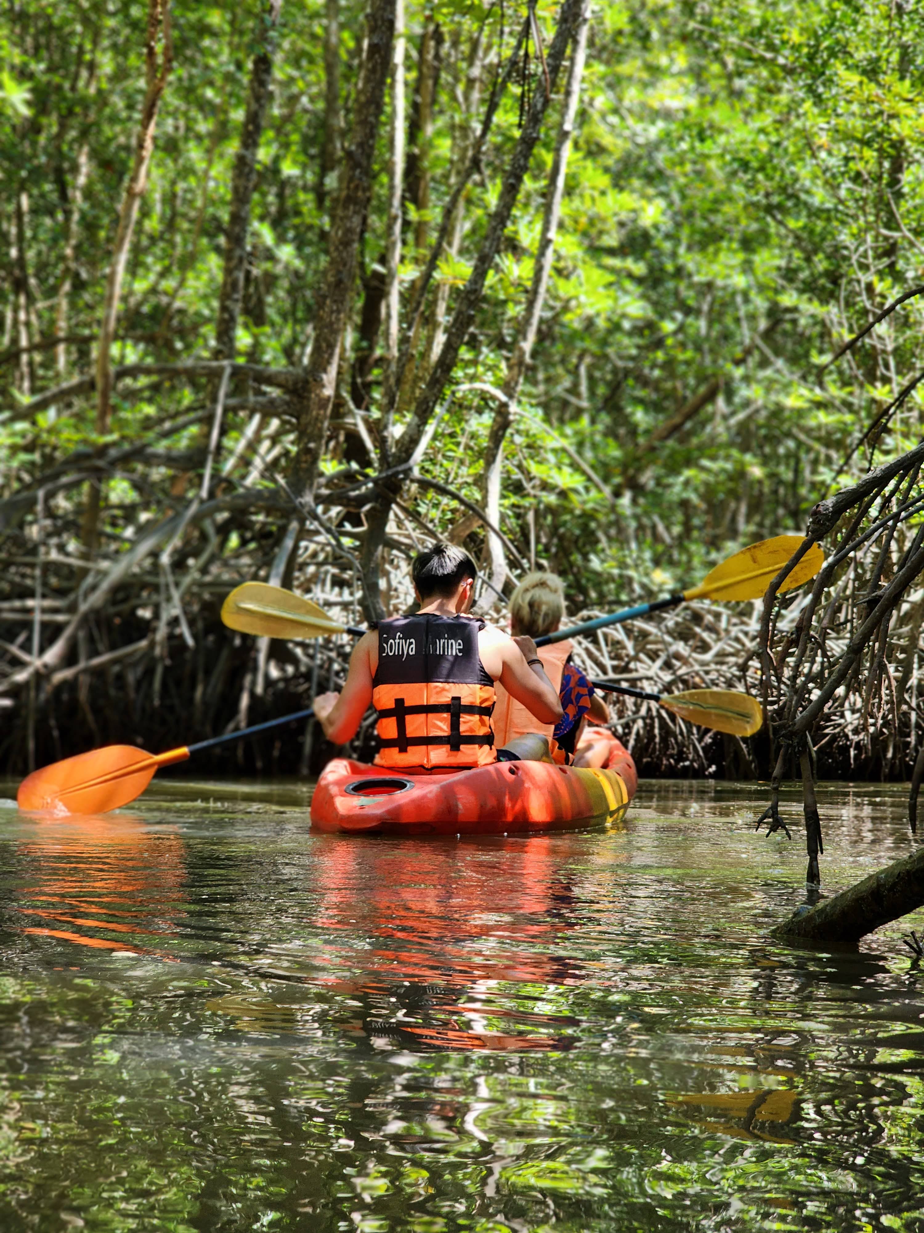 Deep Roots: A Jungle-to-Sea Kayaking & Trekking Adventure in Phuket Deep Roots: A Jungle-to-Sea Kayaking & Trekking Adventure in Phuket
