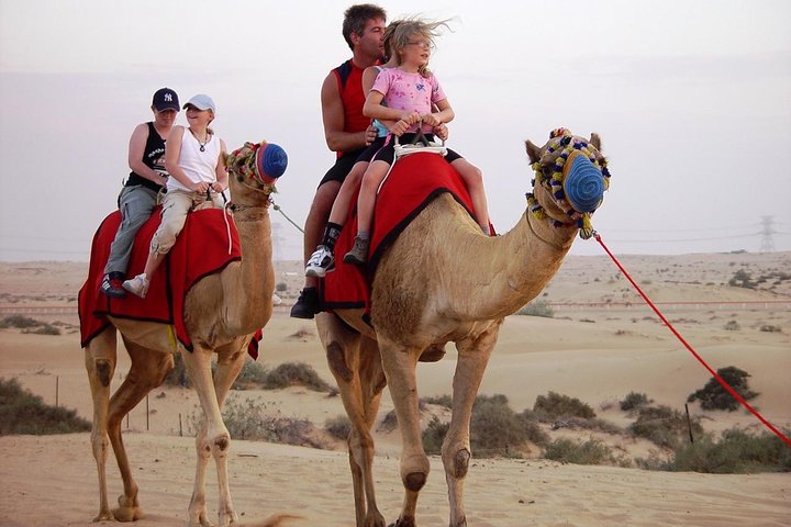Abu Dhabi Morning Desert safari with Camel ride & Sand boarding