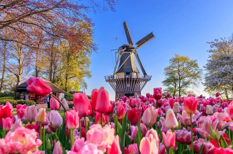 Keukenhof, Zaanse Schans and Volendam Day Tour from Amsterdam