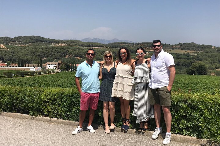 Private Pompeii and Vineyard Escape from Naples