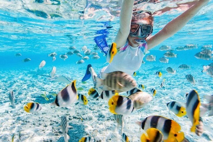 Mun Island Nha Trang Snorkeling with Coral Reef and BBQ Lunch