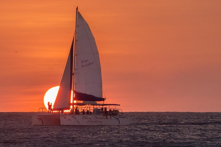 Blue Dolphin – Public Catamaran Tour – Tamarindo