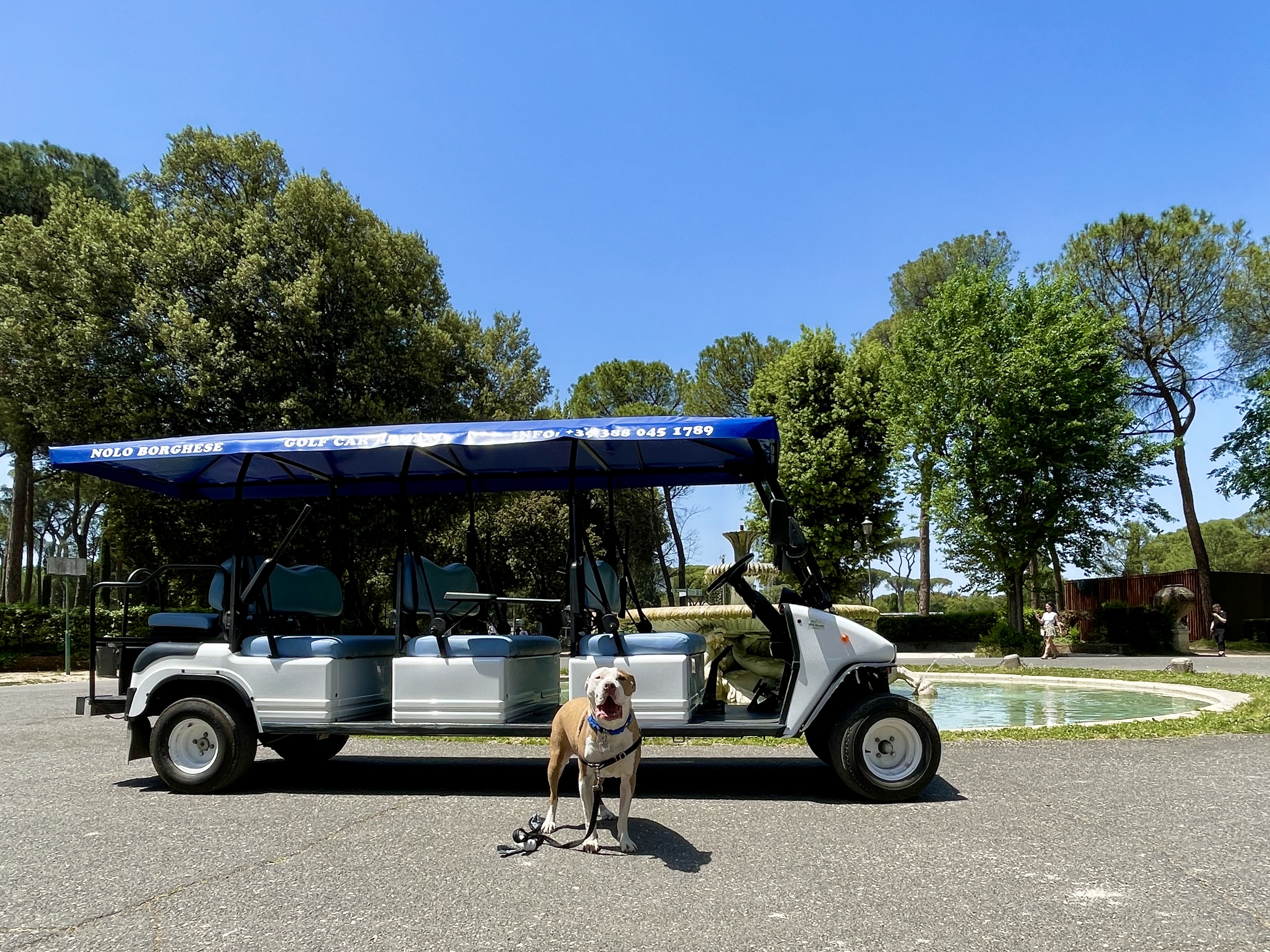 Rome Half Day: Private Golf Cart Adventure & Wine Tasting in an Ancient Cellar
