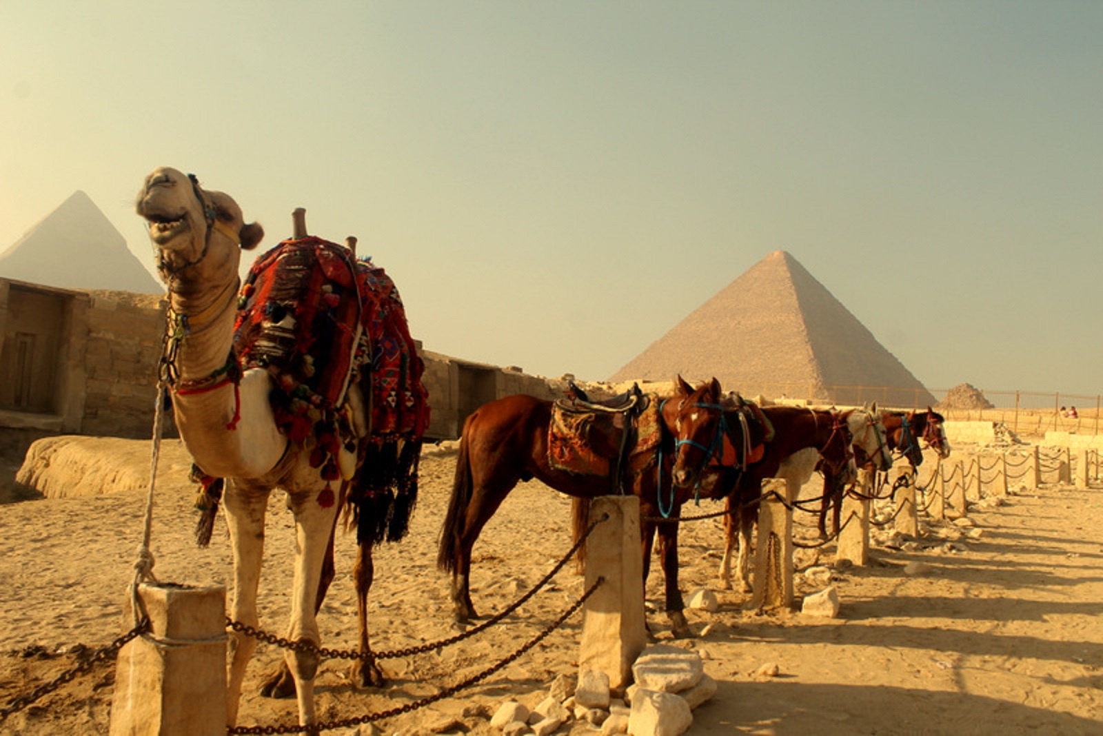 Best Of Egypt – 5* Cruise