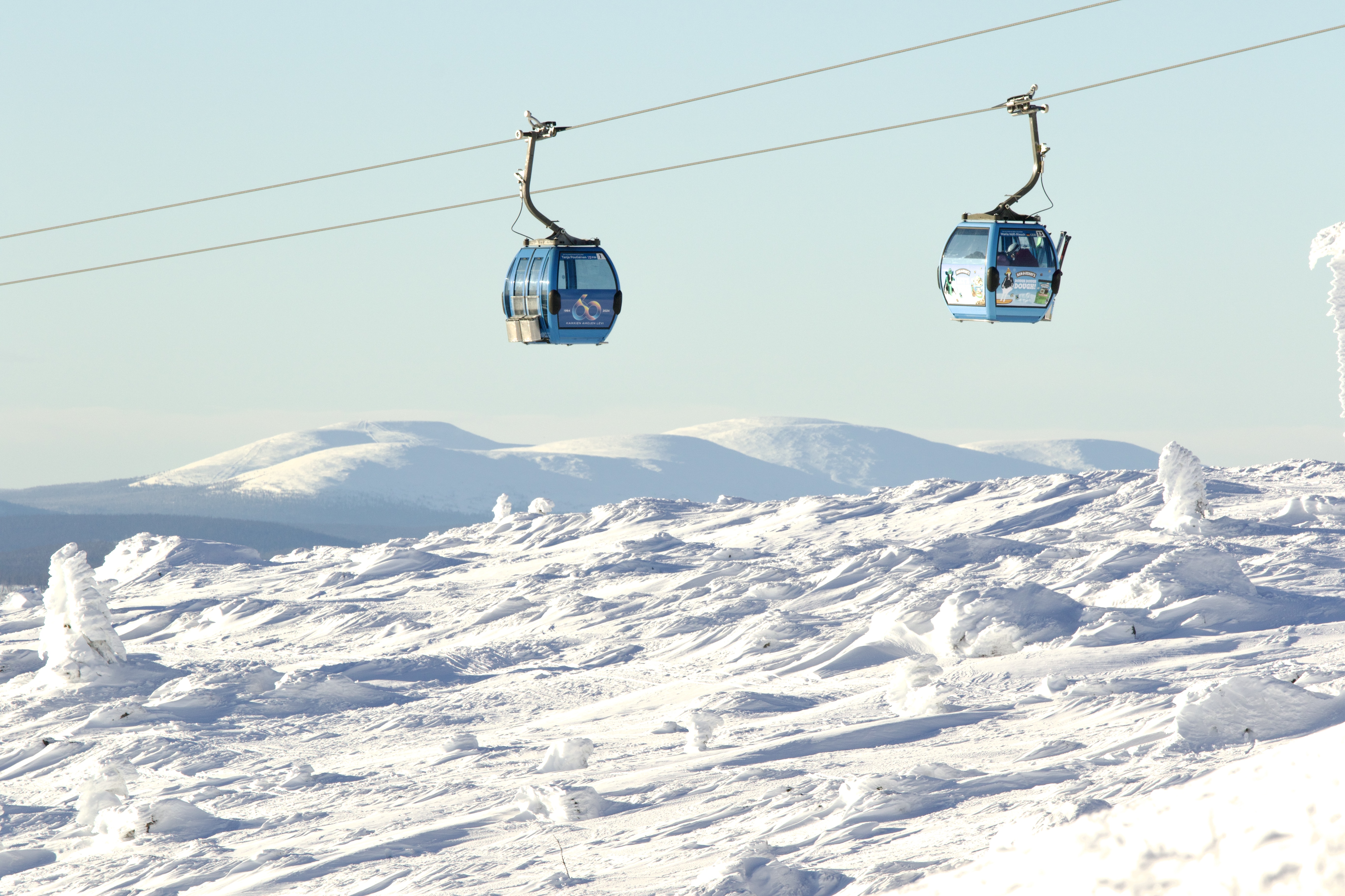 Levi Scenic Tour Reindeer Encounter and Snowshoe Adventure