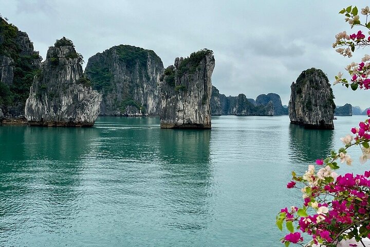 Discover Bai Tu Long Bay on an Overnight Cruises Discover Bai Tu Long Bay on an Overnight Cruises