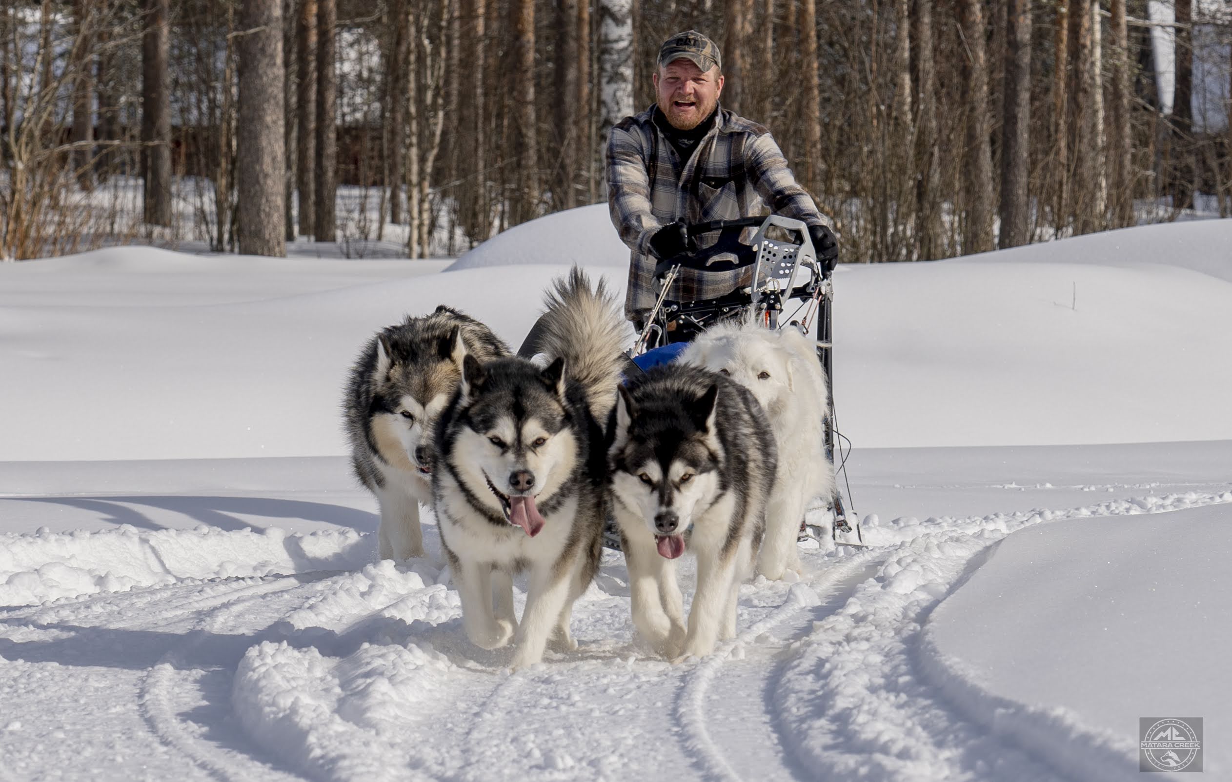 12-15KM Self Driven Husky Sled Adventure in Rovaniemi 12-15KM Self Driven Husky Sled Adventure in Rovaniemi