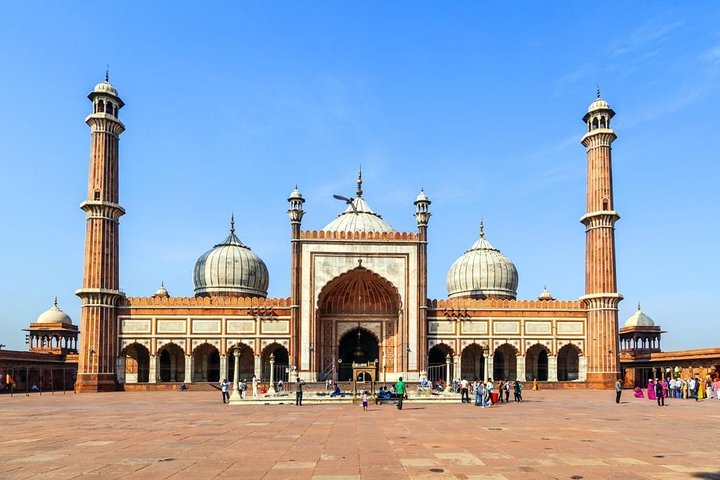 5-Hour Private Guided Cultural Tour of Delhi with Transport