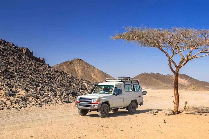 Jeep Safari Adventure Tour With Dinner And Show – Marsa Alam