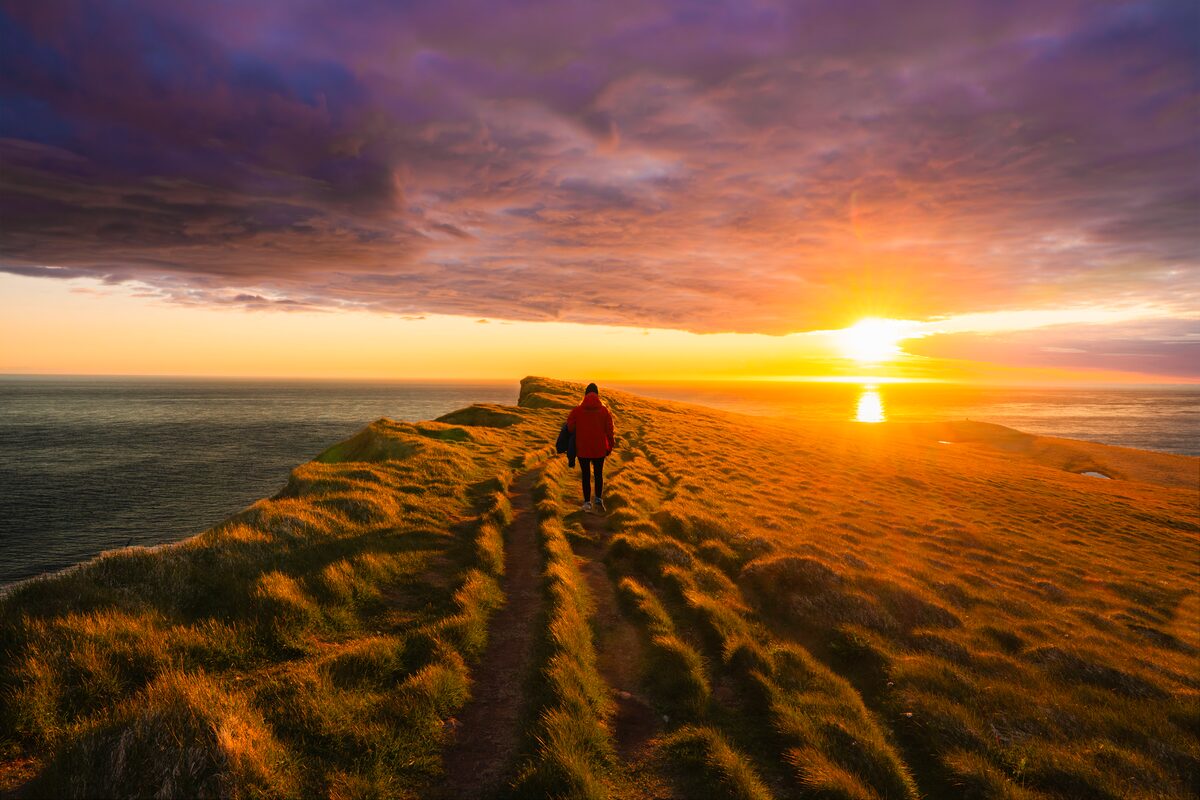 6 Day - South Coast, Glacier Experience & Wild Westfjords 6 Day – South Coast, Glacier Experience & Wild Westfjords