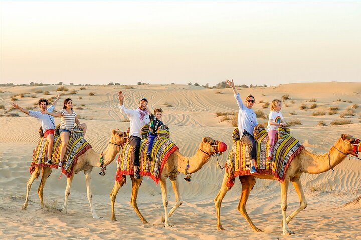 Private Dubai Layover Tour: Explore Top City Highlights