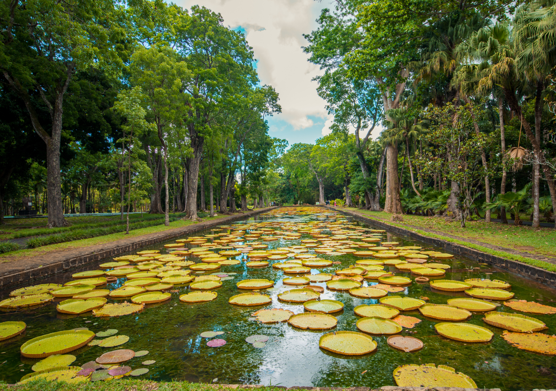 Mauritius: North Island Tour with Entry Tickets