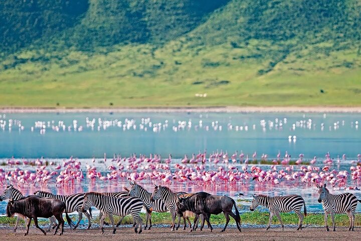 2-Day Hell’s Gate, Crescent Island and Nakuru – Private Safari