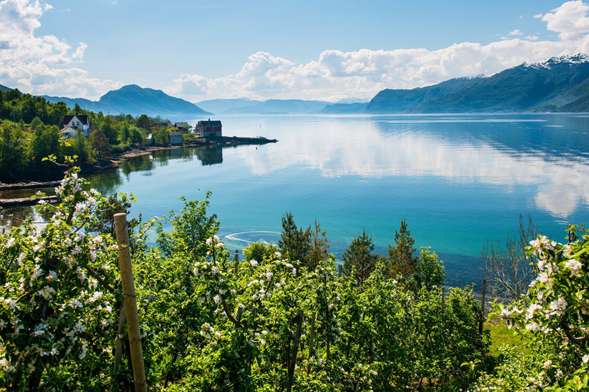Guided day tour – Hardangerfjord, Voss Gondola & 3 Great Waterfalls