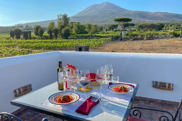 Organic Wine Tasting & Lunch on Vesuvius with Transfer from Pompeii Organic Wine Tasting & Lunch on Vesuvius with Transfer from Pompeii