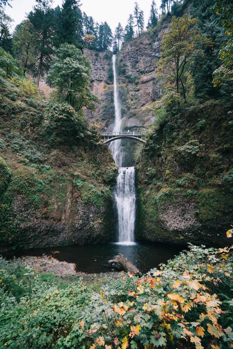 Waterfalls, Mt Hood, and Wine Tour