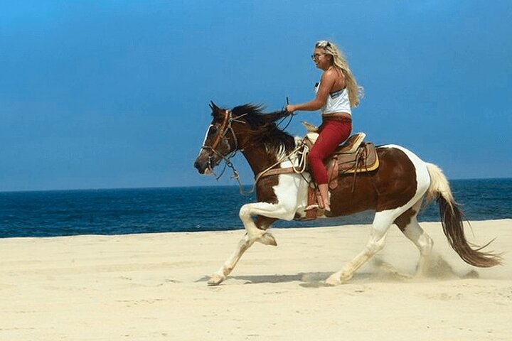Two Hours Adventure Horse Riding In Hurghada