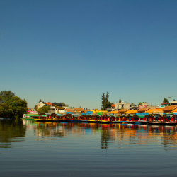 Xochimilco 5 Hour Boat Ride and “UNAM” University Tour Xochimilco 5 Hour Boat Ride and “UNAM” University Tour