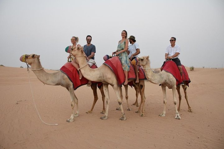 Dubai Sunrise Safari in red dune with Camel Trek with Breakfast