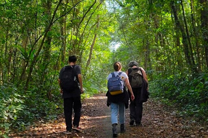 Full-Day Trekking: Explore Cat Ba National Park, Viet Hai Village Full-Day Trekking: Explore Cat Ba National Park, Viet Hai Village