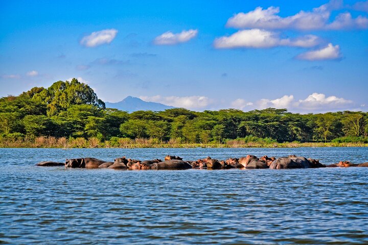 4-Day Masai Mara, L Naivasha and L Nakuru Safari