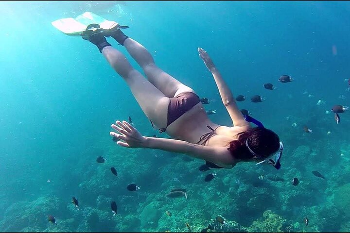 Phu Quoc Pro-Guided Coral Reef Diving Tour