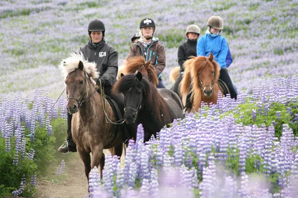 Fast Lava – ATV and horseback riding