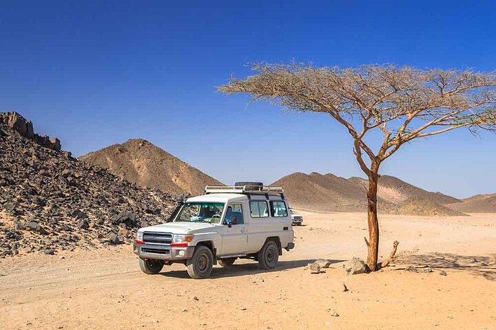 ATV Quad Bike And Jeep And Buggy And Camel Ride Tour with Dinner ATV Quad Bike And Jeep And Buggy And Camel Ride Tour with Dinner