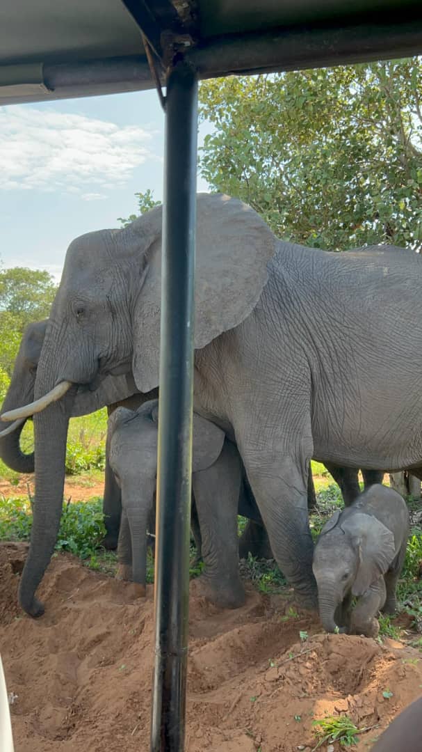 4 Days Victoria Falls Family Adventure – Private Tour for 5