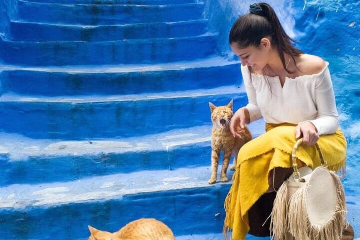 Private Chefchaouen Day Trip from Tangier with Local Guide Private Chefchaouen Day Trip from Tangier with Local Guide