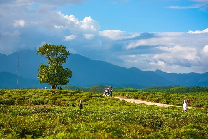 Danang: A Spring Day in Dong Giang