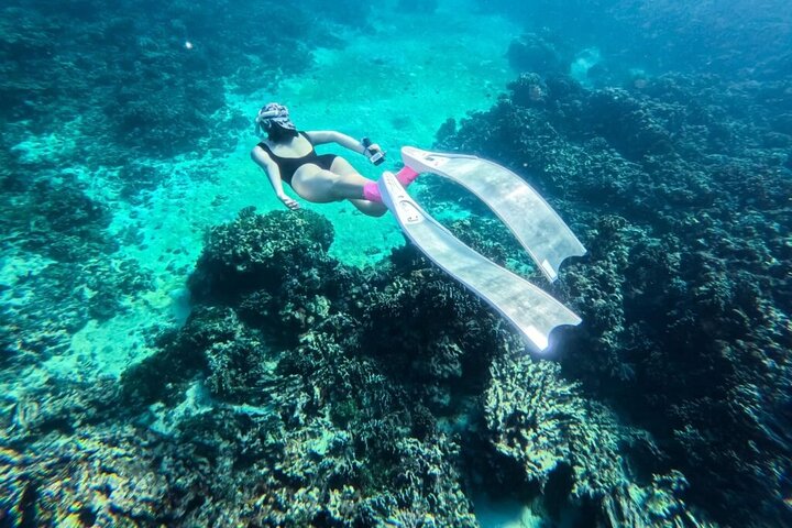 Phu Quoc Island Boat Tour with Professional Diving Experience Phu Quoc Island Boat Tour with Professional Diving Experience
