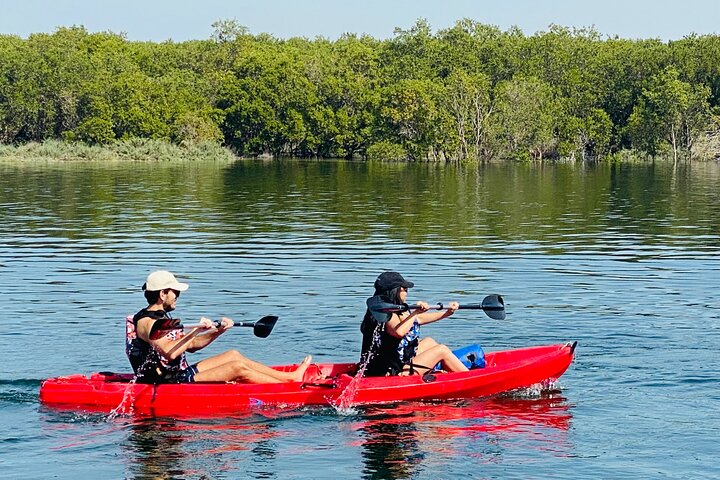 Two Hours Guided Kayaking Tour Reem Central Park Abu Dhabi