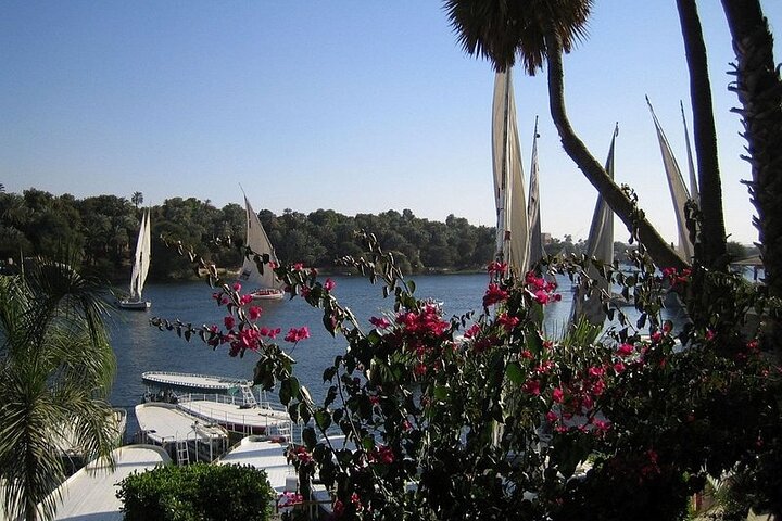 Aswan private tour: Felucca Ride & Botanical Garden