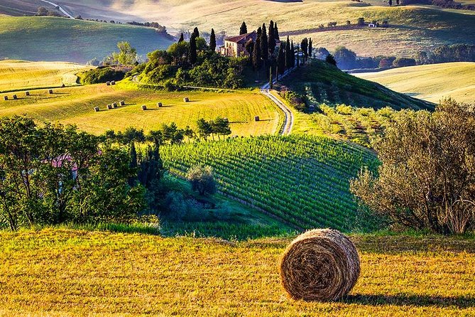 Val d’Orcia Wine Tour with Lunch & Brunello from Florence