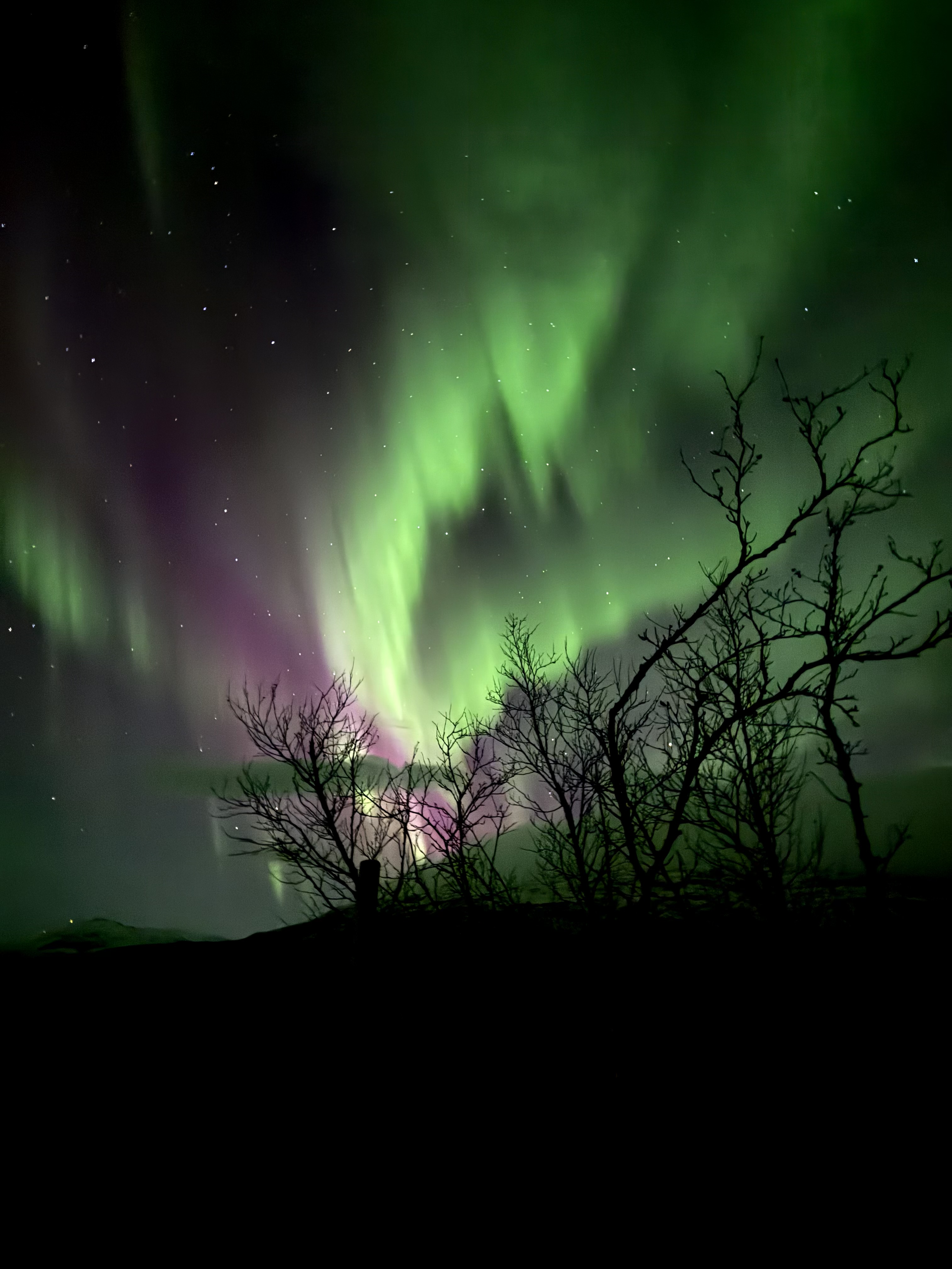 Northern Lights Chase - Will the powers of the Northern Lights dance for us this evening? Northern Lights Chase – Will the powers of the Northern Lights dance for us this evening?