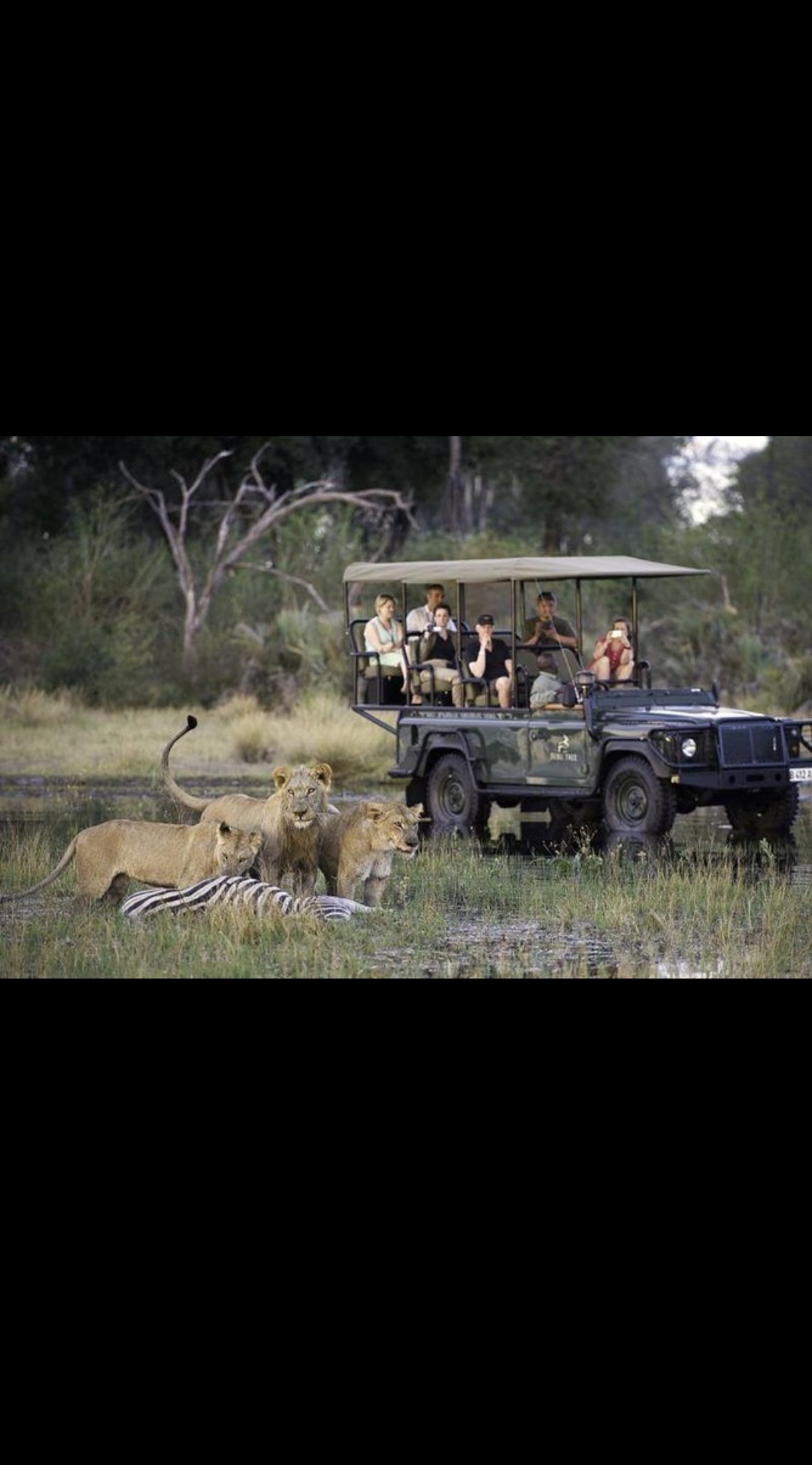 Chobe Big Five Day Safari from Victoria Falls: Game Drive & River Cruise