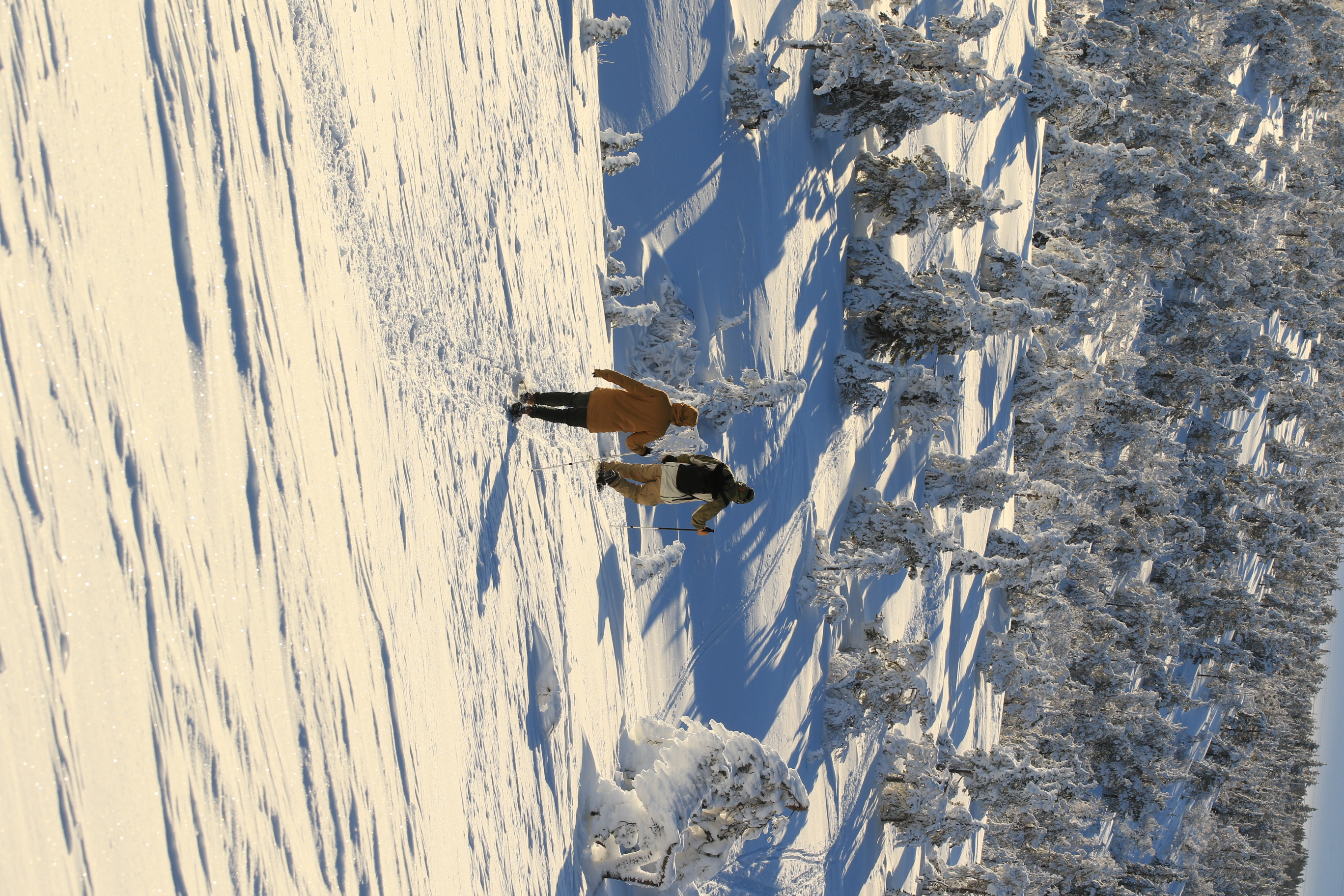 Snowshoe Explorer: Short Journey in Levi
