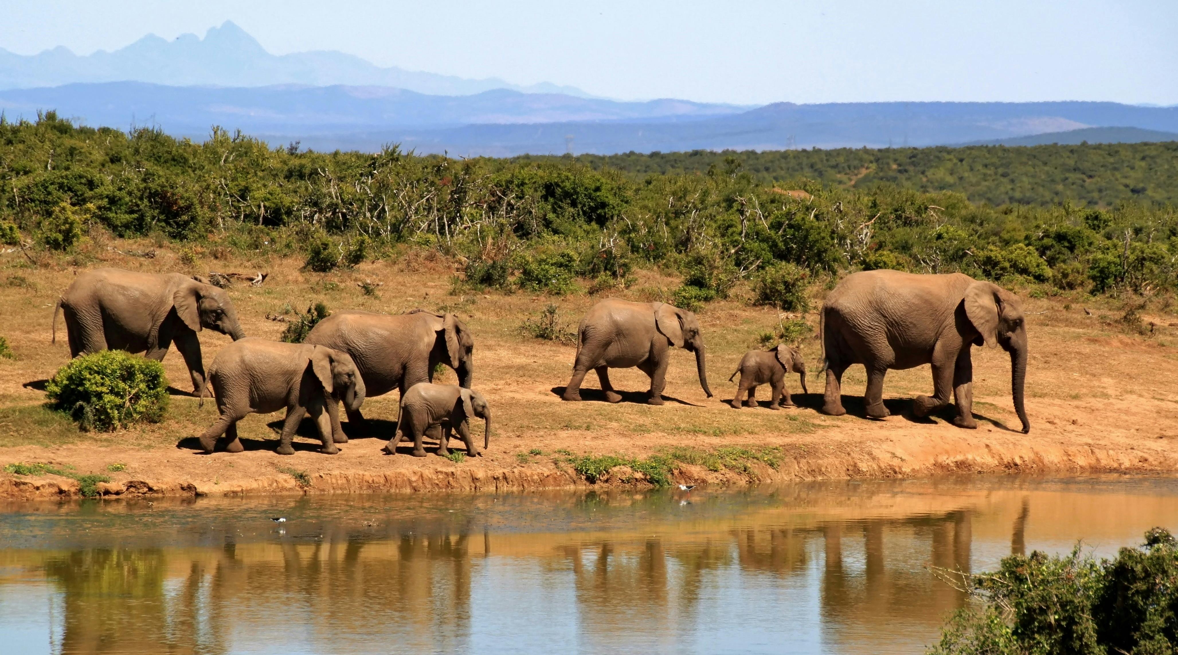 South Africa 14 Day Tour