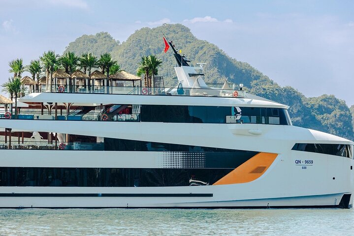 From Harbor: Dolphin Cruise– A Luxurious Day Escape on Halong Bay
