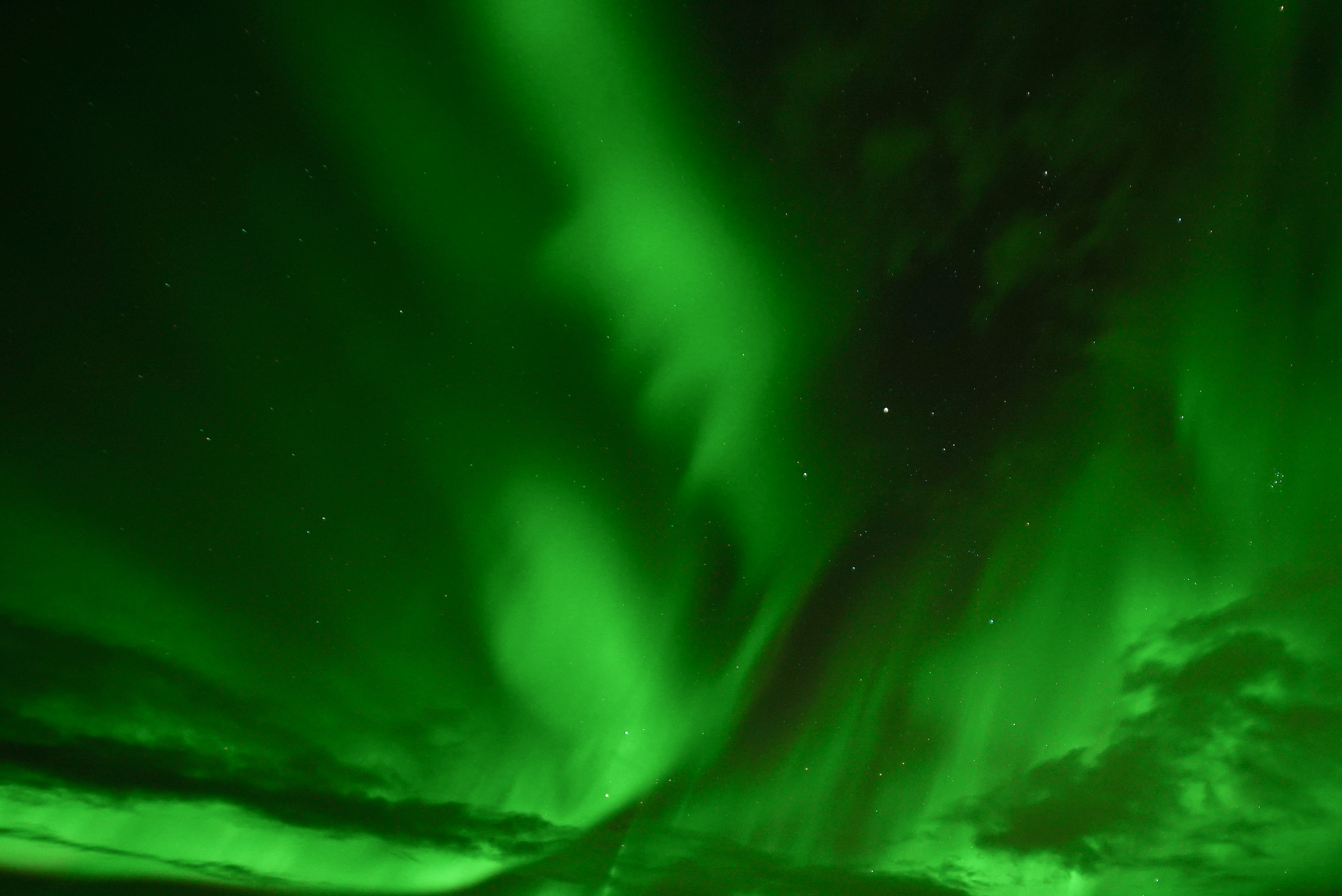 Magical Auroras – Northern lights in a minibus